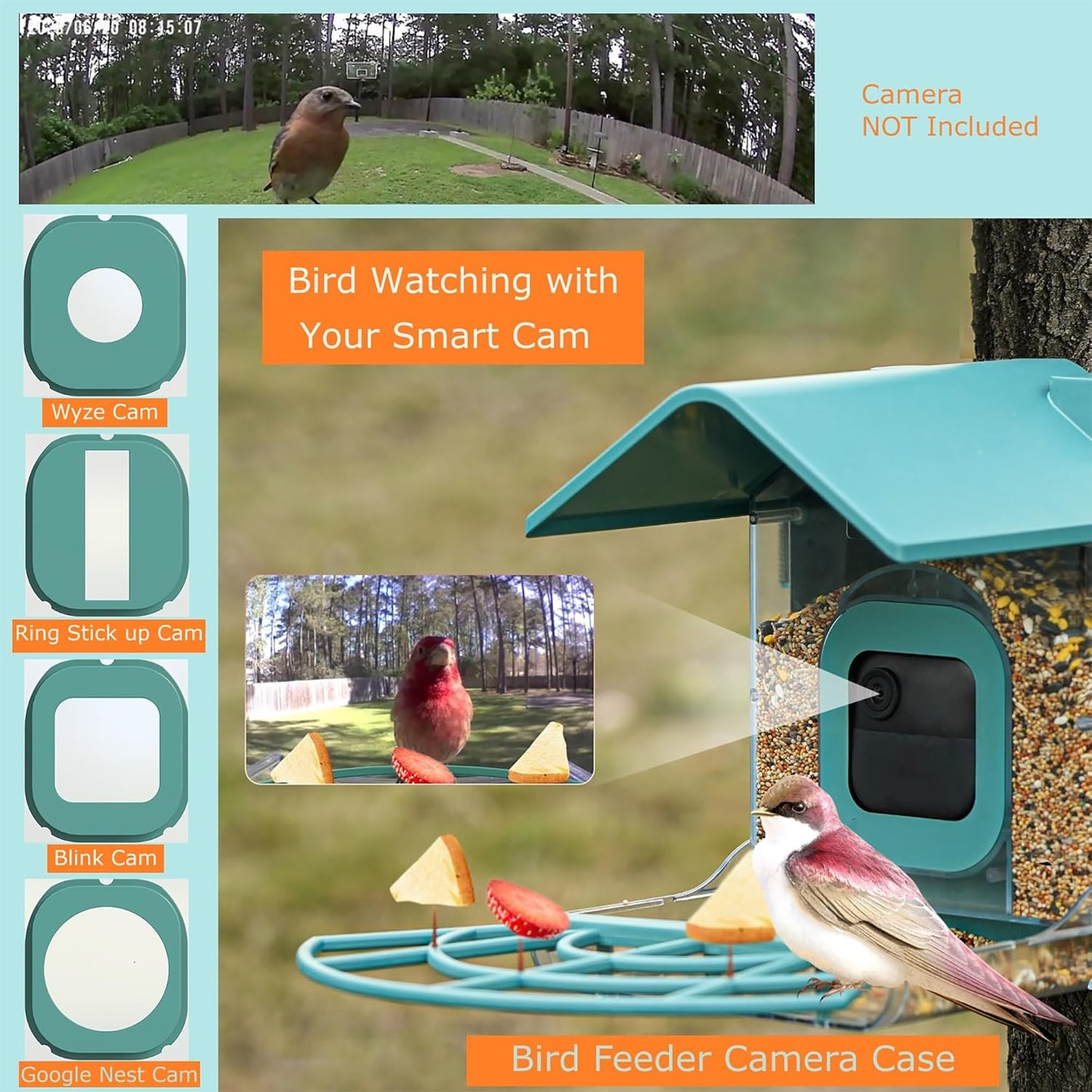 Comedero Para Pájaros Con Estuche Para Cámara