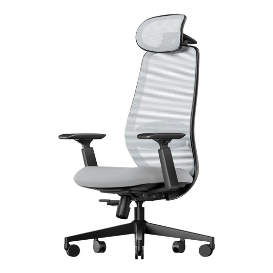 Silla de Escritorio Ergonómica Ajustable 360°/130° ProtoArc Ec200