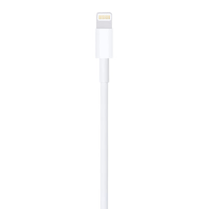 Cable Lightning A Usb Apple Md819zm/a 2m