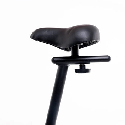 Bicicleta Randers fija vertical magnética