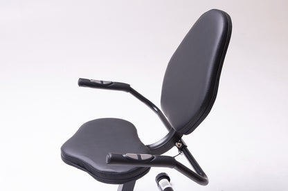 Bicicleta fija Randers horizontal